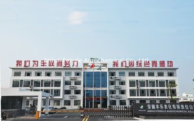China Anhui Fengle Agrochemical Co., Ltd. factory