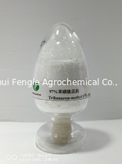 Agrochemical Pesticide Tribenuron-Methyl White power 97% TC