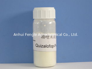 Quizalofop-P- Ethyl95%TC, 98%TC,Soybean / Cotton Agrochemical Pesticide For Annual Grassy Weeds,Off-white powder
