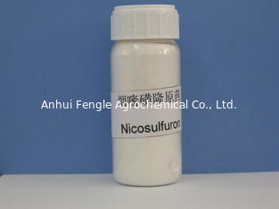 Nicosulfuron 97% TC,Systemic Selective Broadleaf Weed Killer,Off-white powder