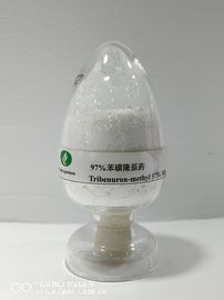 Tribenuron-methyl95%TC ,Agricultural Herbicide ,Broad Leaved Weeds Post Emergence Control