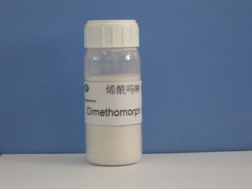 Dimethomorph 50%WP , Fungicides , Agrochemical Pesticide,CAS 110488-70-5 , Dowy Mildew Of  Cucumber / Fruit Tree