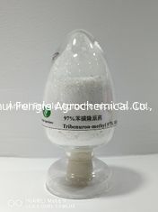 95% Tc Tribenuron Methyl Herbicide Powder CAS No.101200-48-0