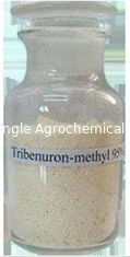 Selective Herbicide Tribenuron Methyl Herbicide 95% Tc To Control Broadleaf Weeds