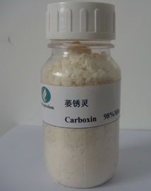 Carboxin 98% TC ,Barley / Wheat Fungicide Off High Reliability Multipurpose,Off-white to light yellow powder