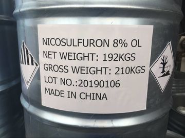Nicosulfuron 80g/L OD ，Milky white liquid， Broadleaf Grass Killer For Maize