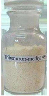 Selective Herbicide Tribenuron Methyl Herbicide 95% Tc To Control Broadleaf Weeds