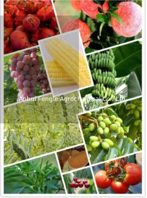 25057-89-0 Agrochemical Pesticides Herbicide Bentazone 95%TC