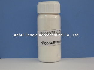 Herbicide Nicosulfuron 97% TC CAS No 111991-0904