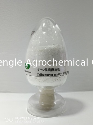 Agrochemical Pesticide Tribenuron-Methyl White power 97% TC